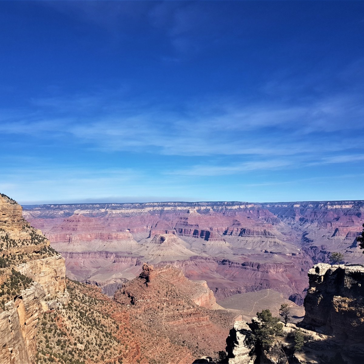 The Grand Canyon Road&nbsp;Trip