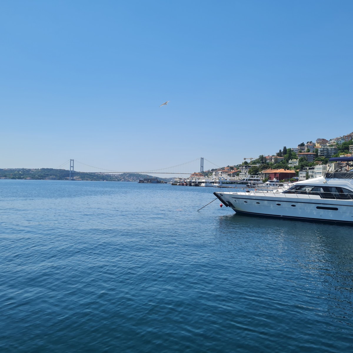 The top 10 things to do in Istanbul: Enjoy the full experience of the&nbsp;city